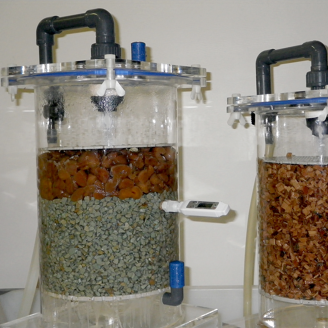 Essigfermenter nach Schmickl: links befüllt mit Marille (Aprikose), rechts mit Buchenholzspänen